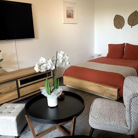 Grand Studio Avec Coin Nuit, Proche Mer Et Montagnes Roquebrune-sur Argens Exterior foto